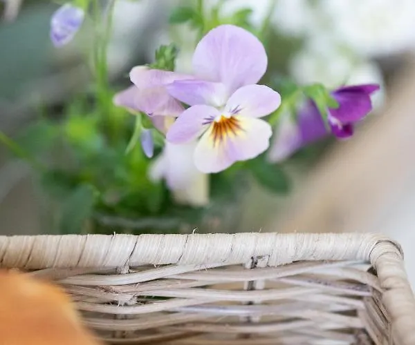 B&B Living... 랑나우