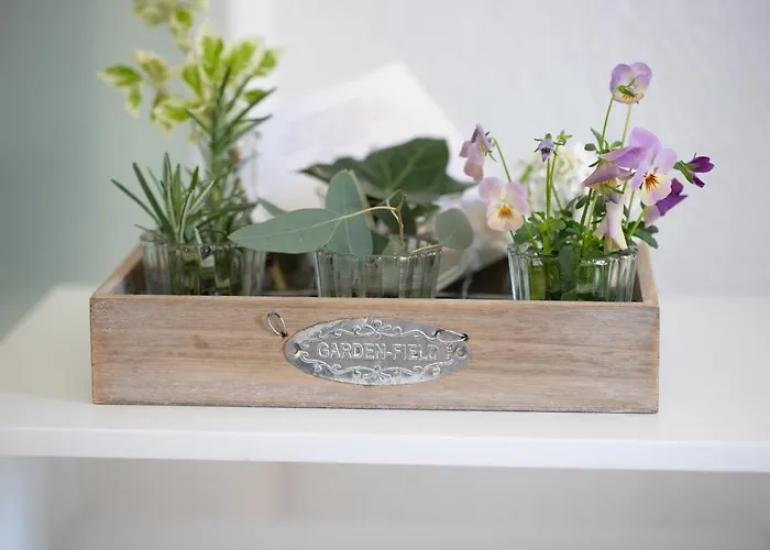 Living... Alojamento de Acomodação e Pequeno-almoço