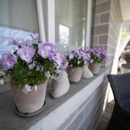 生活公寓 住宿加早餐酒店