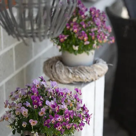 住宿加早餐酒店 生活公寓 3*