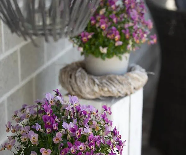 Oda ve Kahvaltı Living... 3*