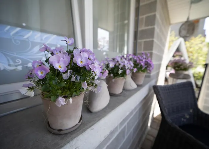 Living... Bed & Breakfast